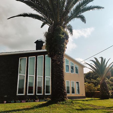 Апартаменты Palmtree 37 Al Прайя-да-Витория Экстерьер фото